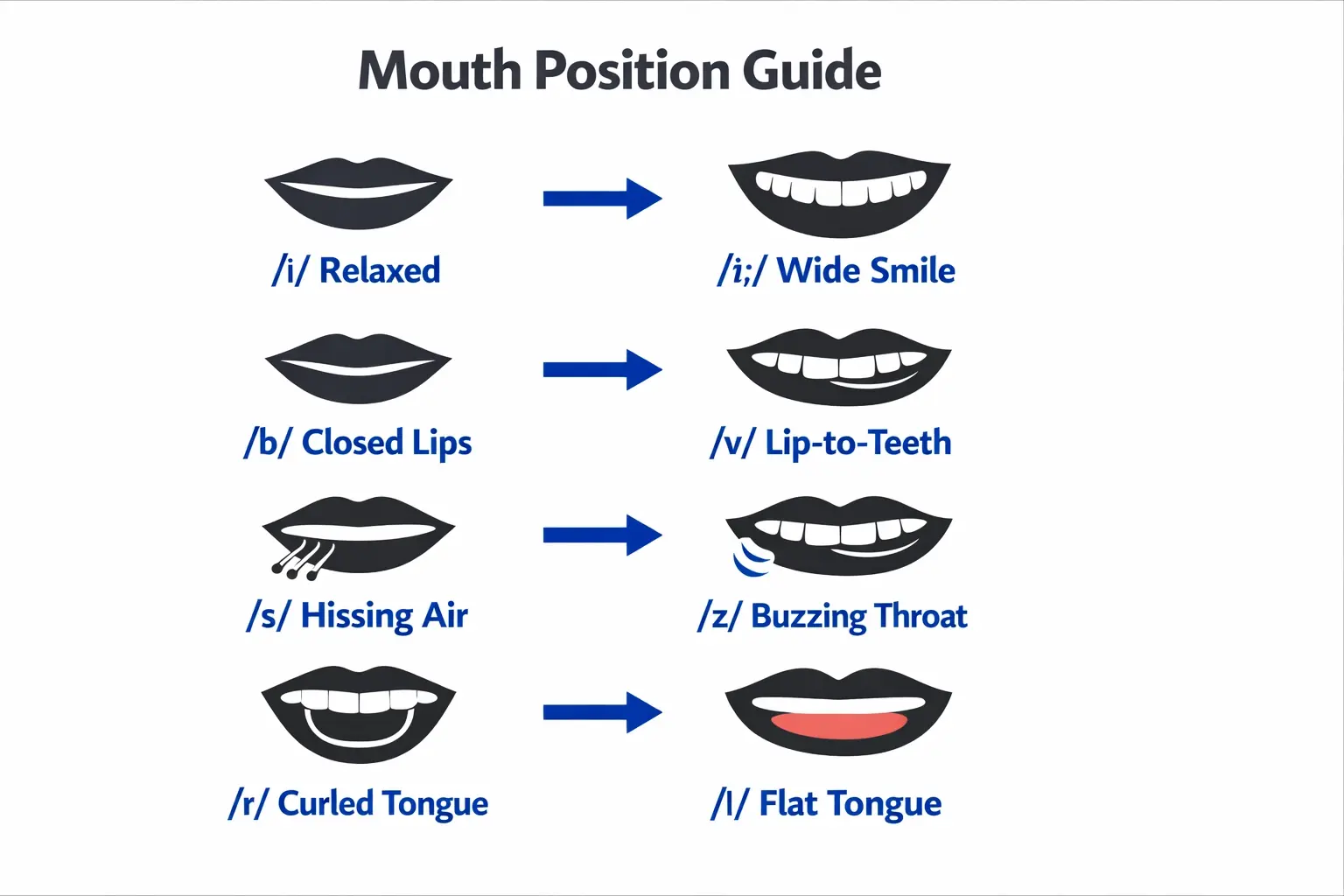 Mouth and tongue position diagrams for difficult English sound contrasts including short vs long vowels and r vs l