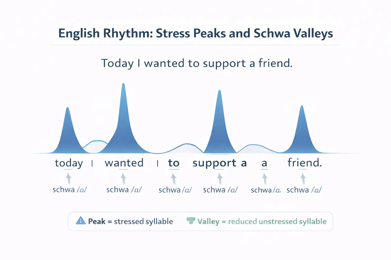 Sentence rhythm waveform with stressed peaks and schwa valleys